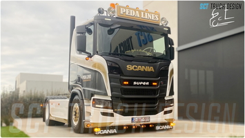 Pedalines - Scania NG R Lowroof