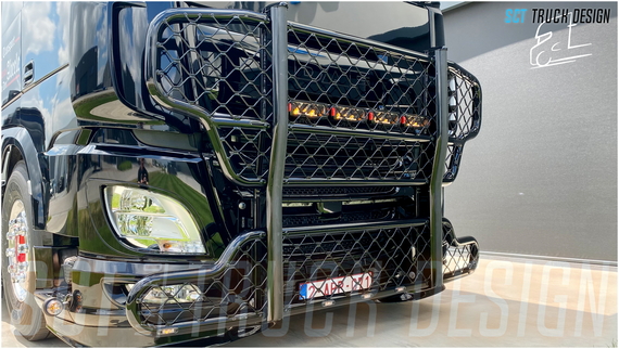 Thomas Van Den Abeele - DAF XF 530