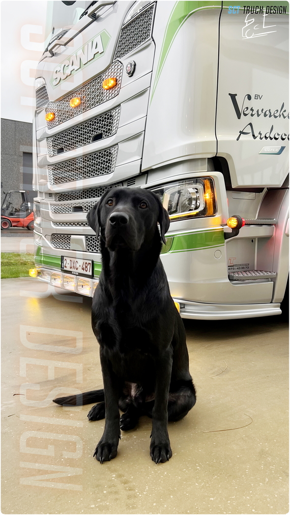 Vervaeke Koen - Scania NG Highline