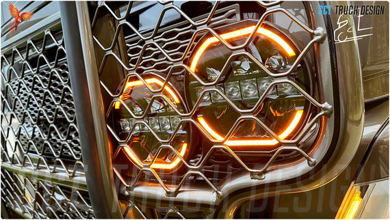 GVT - Volvo FH05 Lowcab Boogie