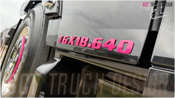 Dollytrans - MAN TGX 640