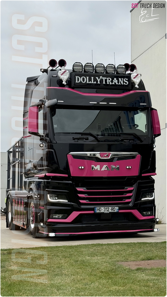 Dollytrans - MAN TGX 640
